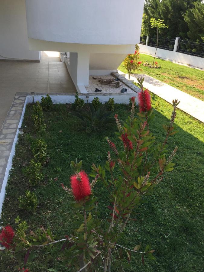 Simplicity At Iris Accommodation Psakoudia Exterior foto