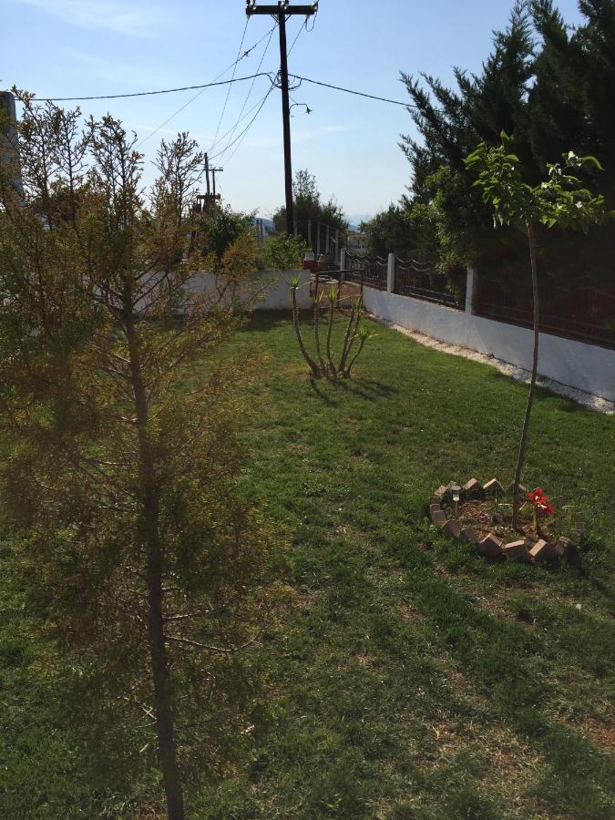 Simplicity At Iris Accommodation Psakoudia Exterior foto