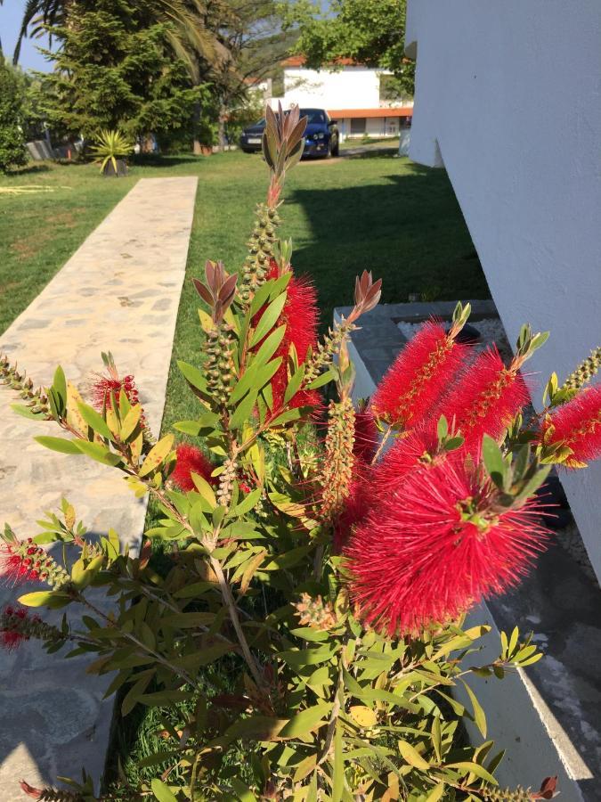Simplicity At Iris Accommodation Psakoudia Exterior foto